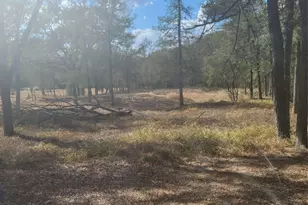 2492 Fm 1704, Elgin, TX 78621 - Photo 1