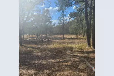 2492 Fm 1704, Elgin, TX 78621 - Photo 1