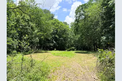 Tbd Fm 86 Tract 2 Highway, Luling, TX 78648 - Photo 7