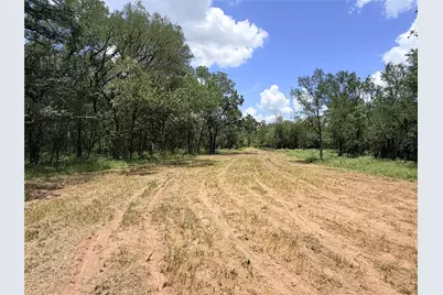 Tbd Fm 86 Tract 2 Highway, Luling, TX 78648 - Photo 9