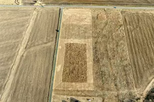 18701 Carlson Rd, Elgin, TX 78621 - Photo 17