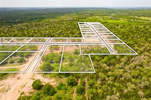272 Canyon Loop, Cedar Creek, TX 78612 - Photo 17