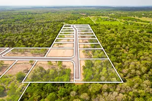 272 Canyon Loop, Cedar Creek, TX 78612 - Photo 15