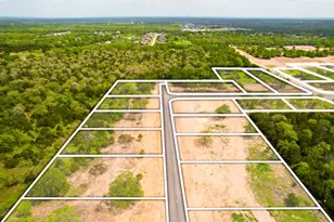 272 Canyon Loop, Cedar Creek, TX 78612 - Photo 13