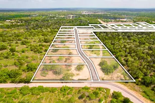 272 Canyon Loop, Cedar Creek, TX 78612 - Photo 9