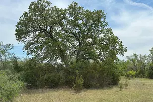 Tbd County Road 330, Bertram, TX 78605 - Photo 13