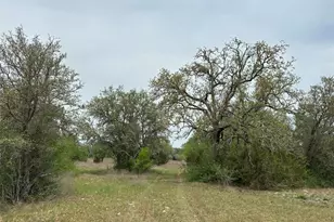 Tbd County Road 330, Bertram, TX 78605 - Photo 11