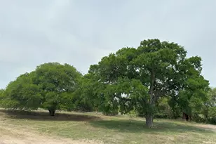 Tbd County Road 330, Bertram, TX 78605 - Photo 5