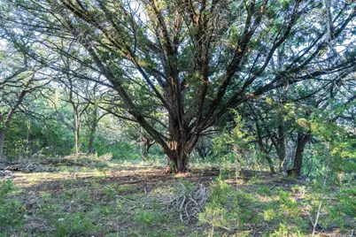 [Address not provided], Blanco, TX 78606 - Photo 17