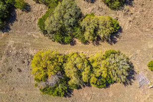 Tbd Saddle Ridge Dr, Bertram, TX 78605 - Photo 9