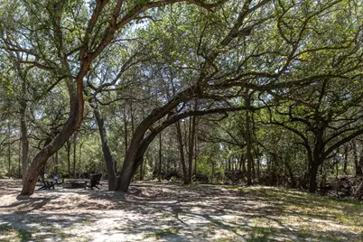 2088 (Tract #3) Baca Loop, Flatonia, TX 78941 - Photo 5
