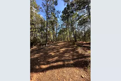 0 Pine Oak Drive, Bastrop, TX 78602 - Photo 3