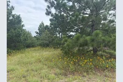 151 S Buckhorn Drive, Bastrop, TX 78602 - Photo 5