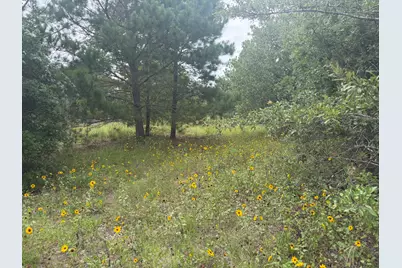 151 S Buckhorn Drive, Bastrop, TX 78602 - Photo 11