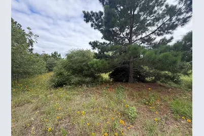 151 S Buckhorn Drive, Bastrop, TX 78602 - Photo 9