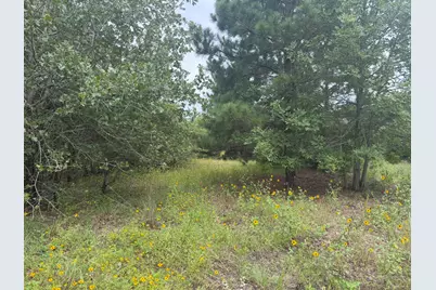 151 S Buckhorn Drive, Bastrop, TX 78602 - Photo 7