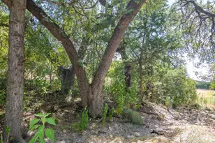 20608 Live Oak St, Leander, TX 78641 - Photo 19