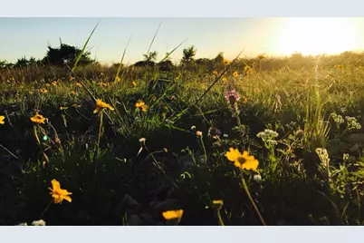 Lot 158 Sierra Drive, Bertram, TX 78605 - Photo 5