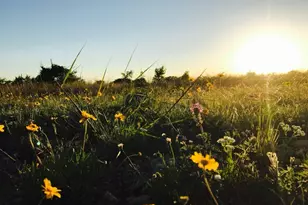 Lot 158 Sierra Dr, Bertram, TX 78605 - Photo 5