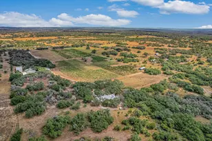 878 Ranch Road 2766, Johnson City, TX 78636 - Photo 29