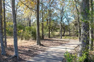 290 Maddy Wy, Bastrop, TX 78602 - Photo 9