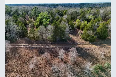 Lot 3 South Old Potato Road, Paige, TX 78659 - Photo 9