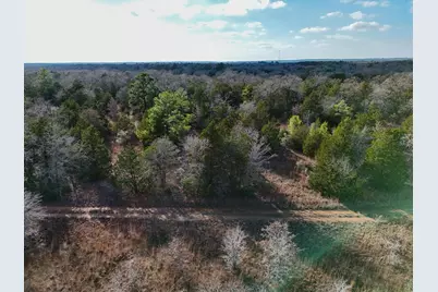 Lot 3 South Old Potato Road, Paige, TX 78659 - Photo 3