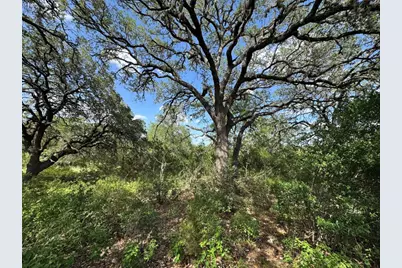 211 Hunters Glen Drive, San Marcos, TX 78666 - Photo 13