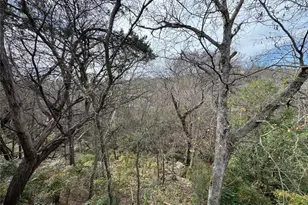 6614 Hart Ln, Austin, TX 78731 - Photo 5