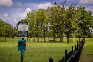 11802 Hurricane Haze Dr, Austin, TX 78747 - Photo 33