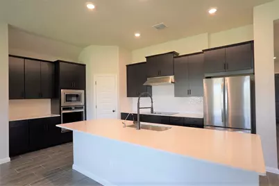 303 Bear Oak Street, Hutto, TX 78634 - Photo 3