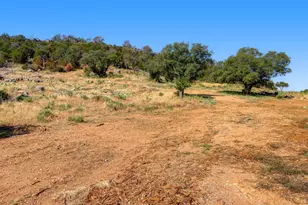 0000 W Duchess Dell Lot 5B, Cottonwood Shores, TX 78657 - Photo 5