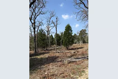 Tbd N County Line Road, Elgin, TX 78621 - Photo 5