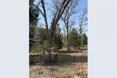 Tbd N County Line Road, Elgin, TX 78621 - Photo 3