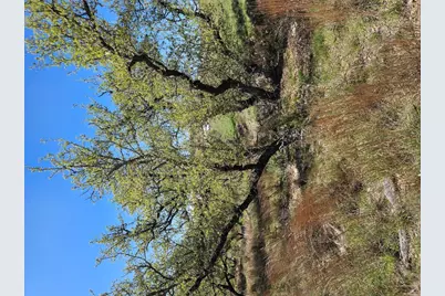 292 N Scenic Hills Court, Blanco, TX 78606 - Photo 15