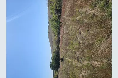 292 N Scenic Hills Court, Blanco, TX 78606 - Photo 13