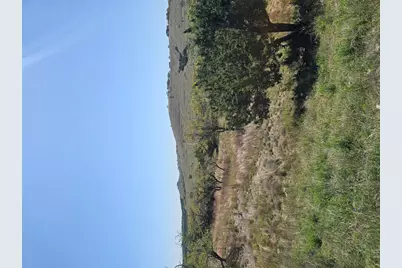 292 N Scenic Hills Court, Blanco, TX 78606 - Photo 11