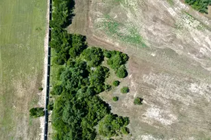 2361 Council Springs Pass, Leander, TX 78641 - Photo 9