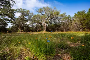 Tbd Gatlin Creek Rd, Dripping Springs, TX 78620 - Photo 1