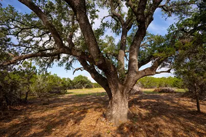 Tbd Gatlin Creek Road, Dripping Springs, TX 78620 - Photo 13