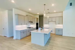1417 White Daisy Ln, Georgetown, TX 78628 - Photo 3