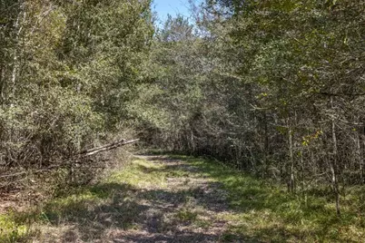 Tbd State Highway 21 E (+/- 69.227 Acres), Midway, TX 75852 - Photo 21