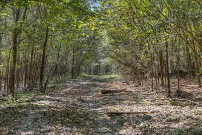 Tbd State Highway 21 E (+/- 69.227 Acres), Midway, TX 75852 - Photo 11