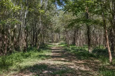 Tbd State Highway 21 E (+/- 69.227 Acres), Midway, TX 75852 - Photo 5