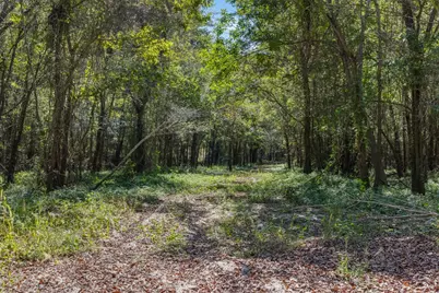 Tbd State Highway 21 E (+/- 69.227 Acres), Midway, TX 75852 - Photo 13