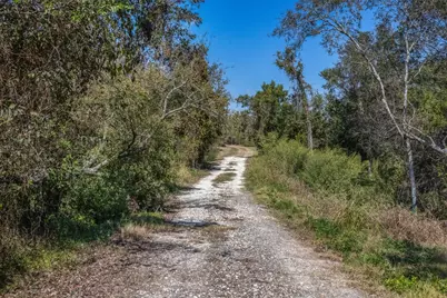 Tbd State Highway 21 E (+/- 69.227 Acres), Midway, TX 75852 - Photo 19