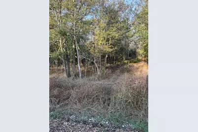 172 Helemano Drive, Bastrop, TX 78602 - Photo 5