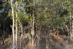 172 Helemano Dr, Bastrop, TX 78602 - Photo 1