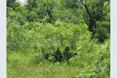 Tbd Fox Lane, Lockhart, TX 78644 - Photo 35