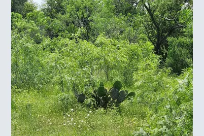 Tbd Fox Lane, Lockhart, TX 78644 - Photo 35